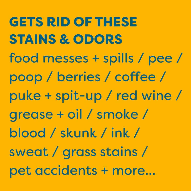 KIDS 'N' PETS Instant All-Purpose Stain & Odor Remover - Cleans Dog Pee, Cat Urine, Other Smells, Spots from Carpet, Couch, Mattress - Non-Toxic Chemicals & Child Safe Enzyme Cleaner - 1-Gallon - Image 4
